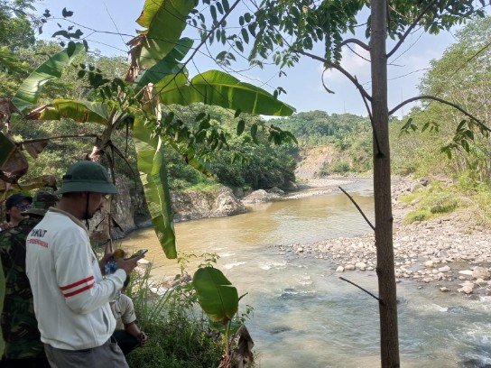377 Hektare Sawah di Cipanas Terancam, TMI Lebak : Pemerintah Diminta Cepat Tangani